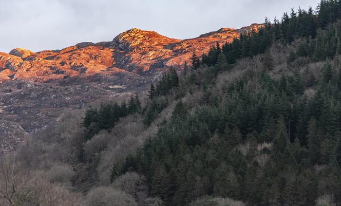 National Trust Images/Paul Harris